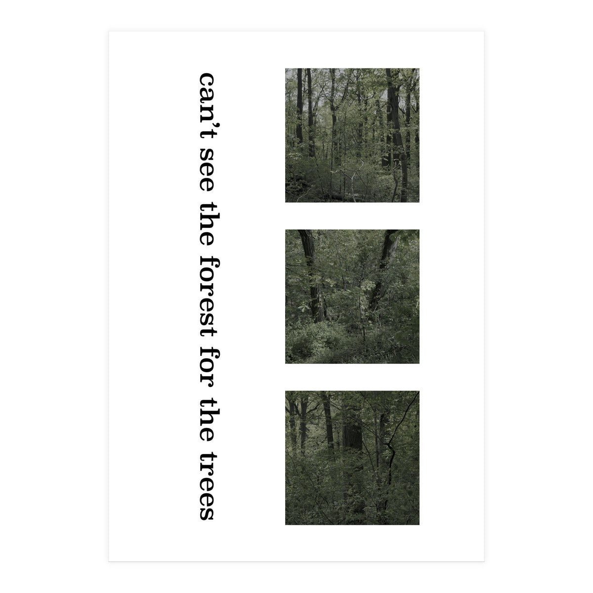 can’t see the forest for the trees (Print Only)
