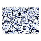 Dye Painted Waters (Print Only) thumbnail