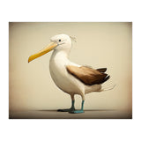 Albatross Illustration (Print Only) thumbnail
