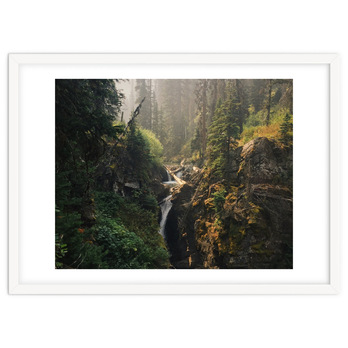 Glacier National Park I