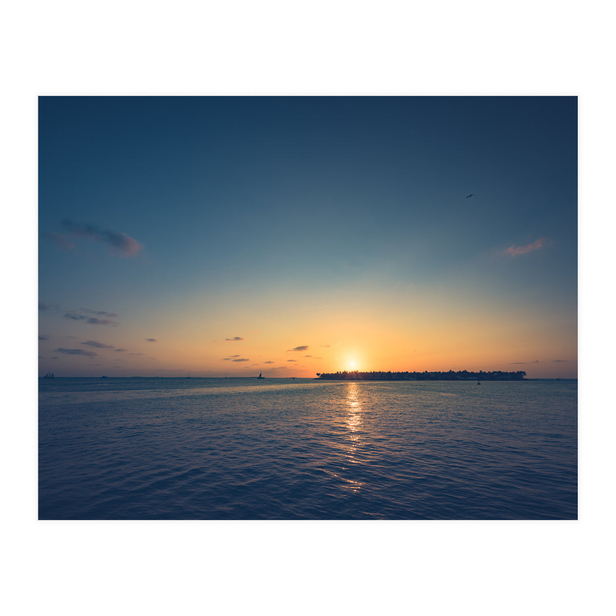 B'dazzled Blue (Print Only)