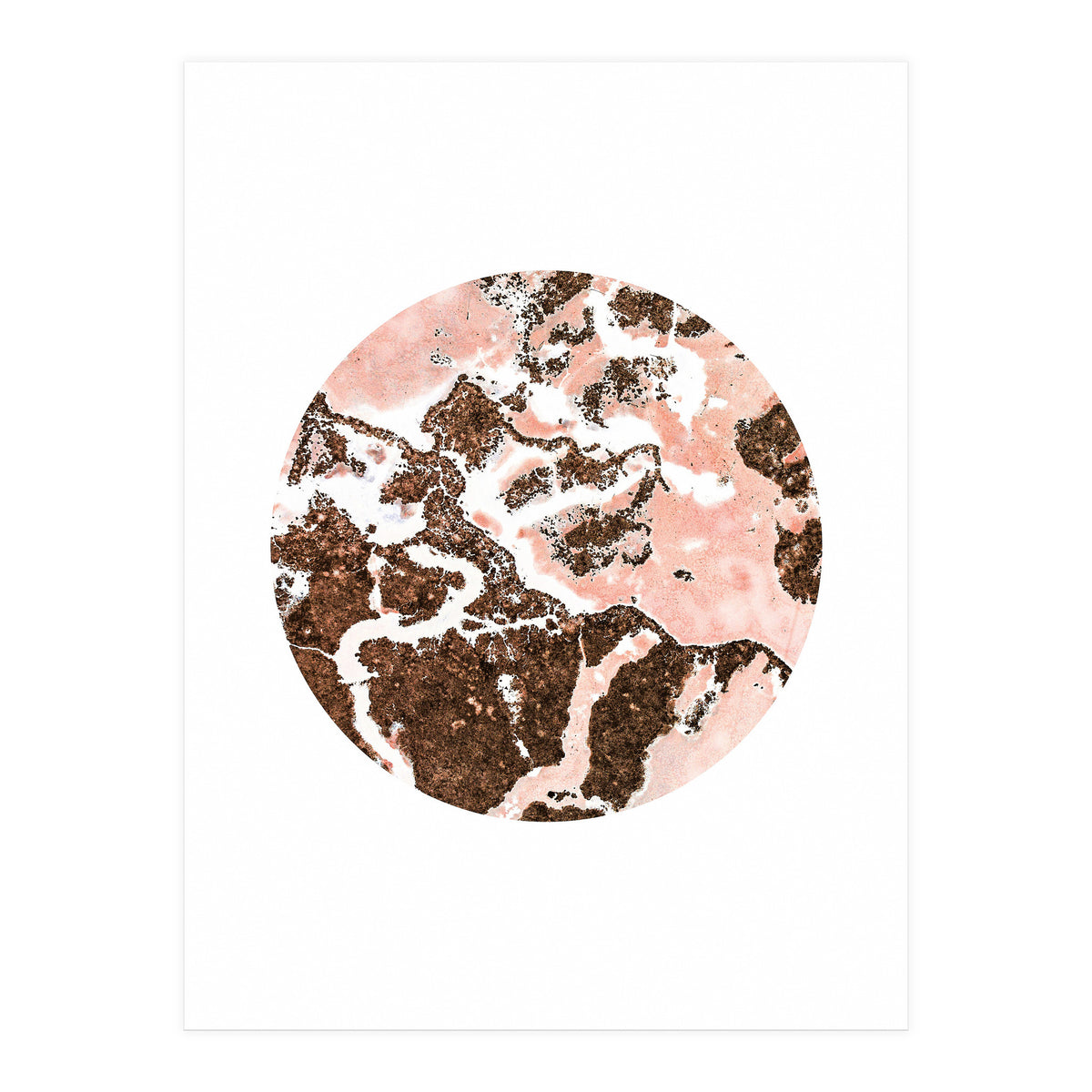 Blush And Bronze (Print Only)