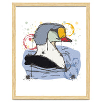 Male King Eider Duck Sketch