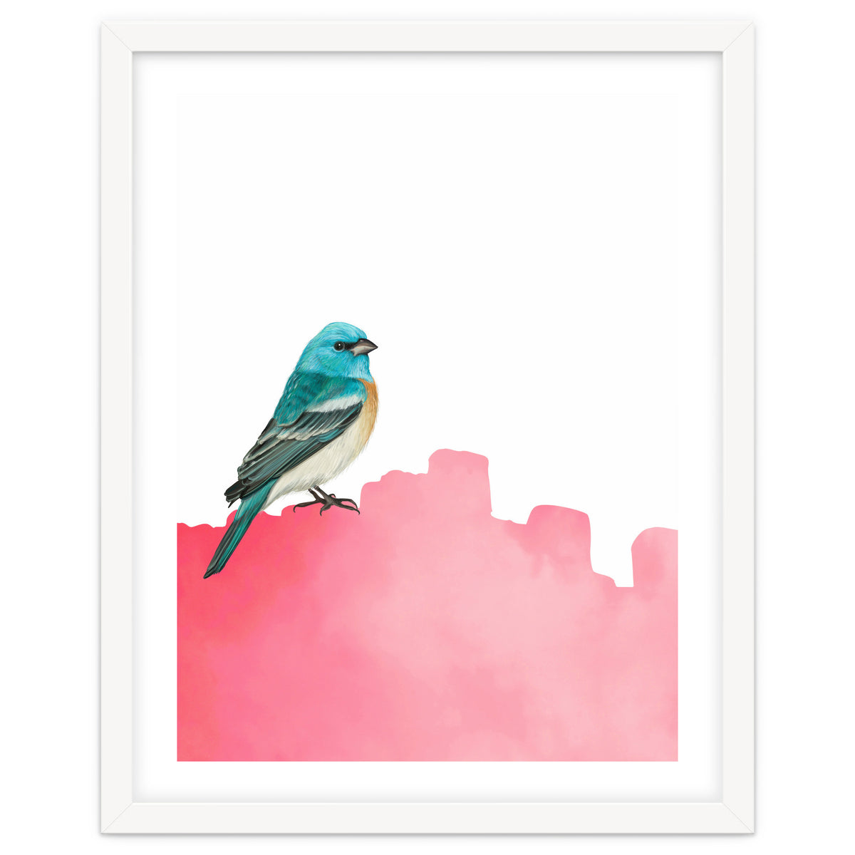 Bird Pink
