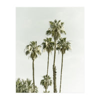 Palm Trees Summertime  (Print Only)