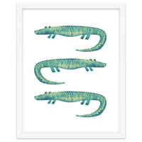 Alligator Trio