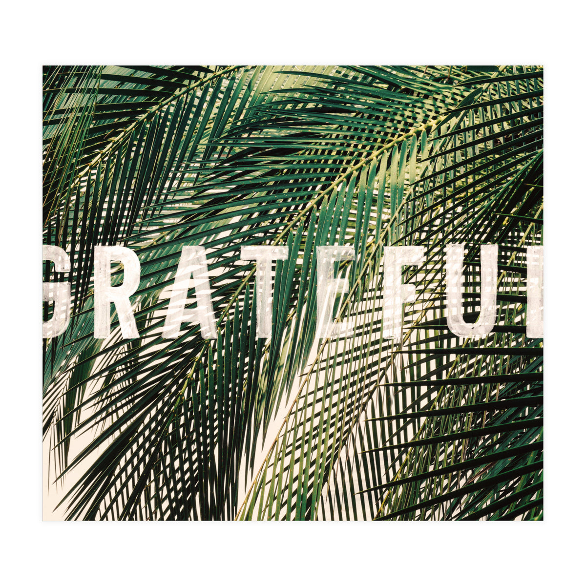 Grateful  (Print Only)
