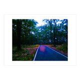 Into The Wild (Print Only) thumbnail