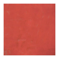 Red Barrier (Print Only)