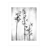 Hosta 3 (Print Only) thumbnail