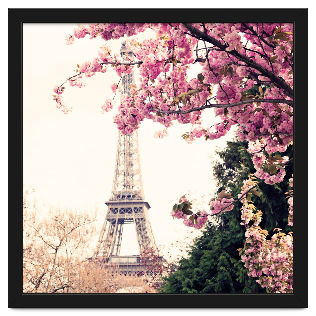 Paris in the Spring