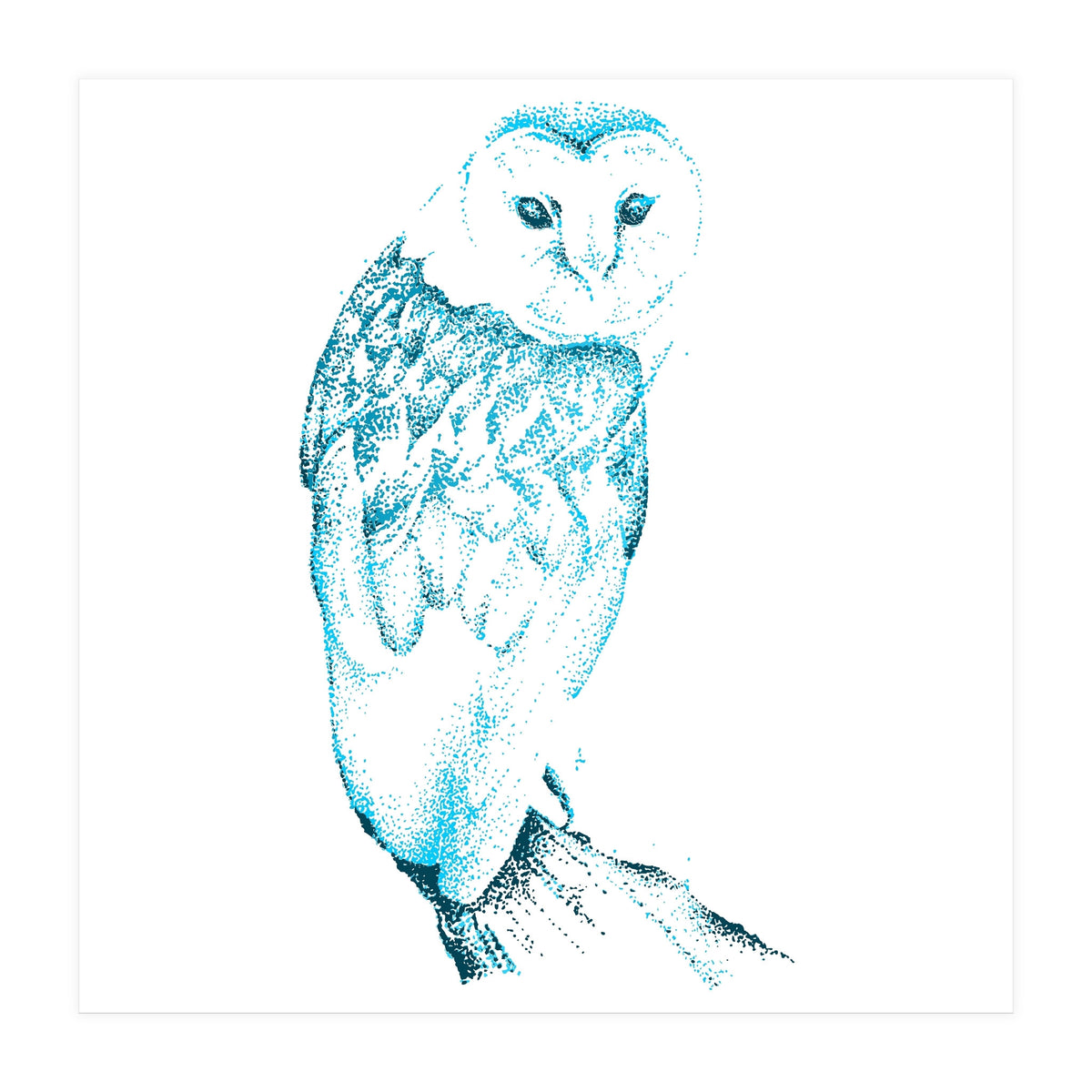 Barn Owl in Teal (Print Only)