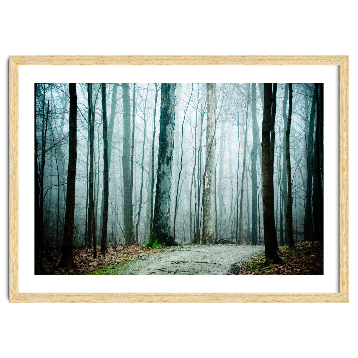 Gather Up Your Dreams