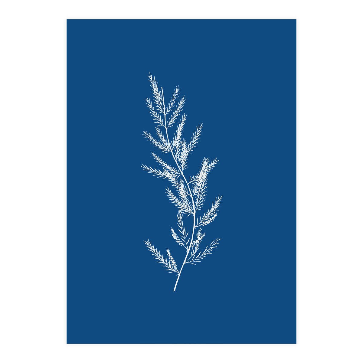 Blue Botanical II (Print Only)