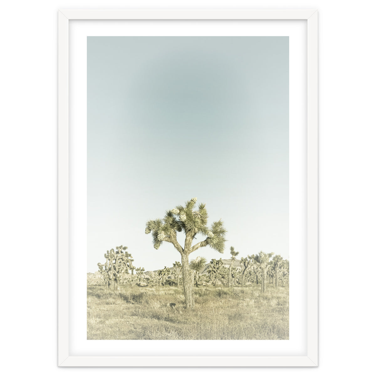 Vintage Joshua Tree