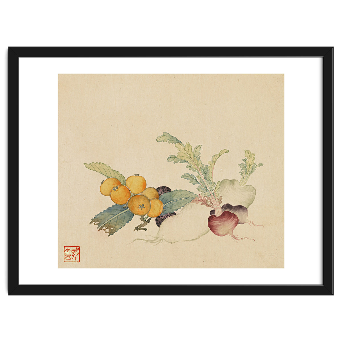 Wang Chengpi~flowers And Vegetables, Vegetables, Fruits, Loquat, White Radish, Carrot, Radish