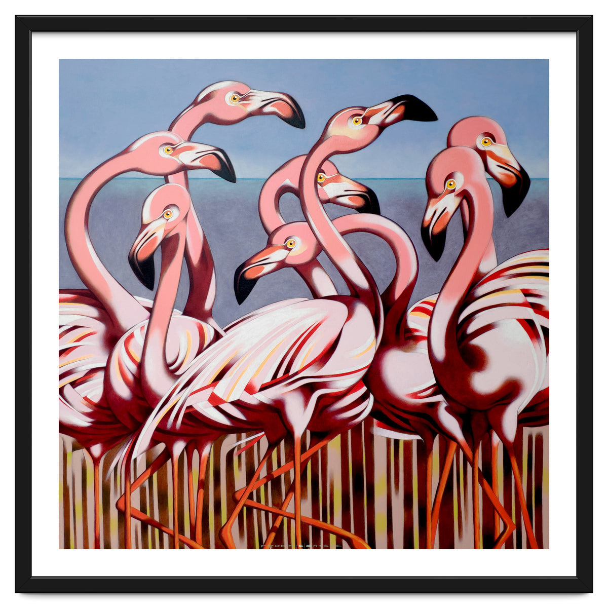 Flamingos