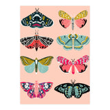 Lepidoptery No. 1 (Print Only) thumbnail
