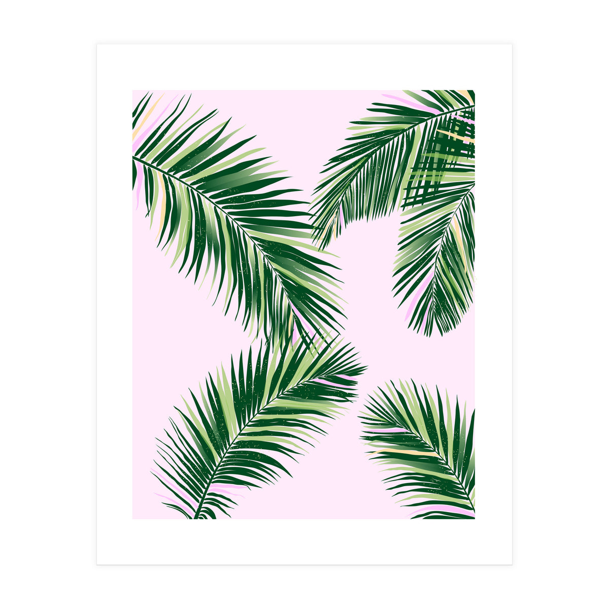 Palmfrond (Print Only)