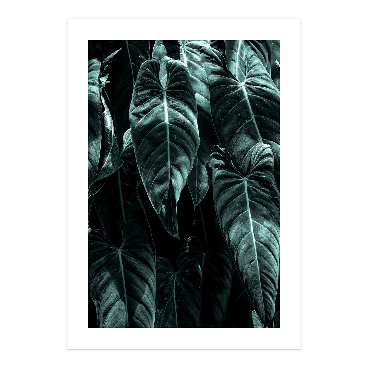 The Jungle (Print Only)