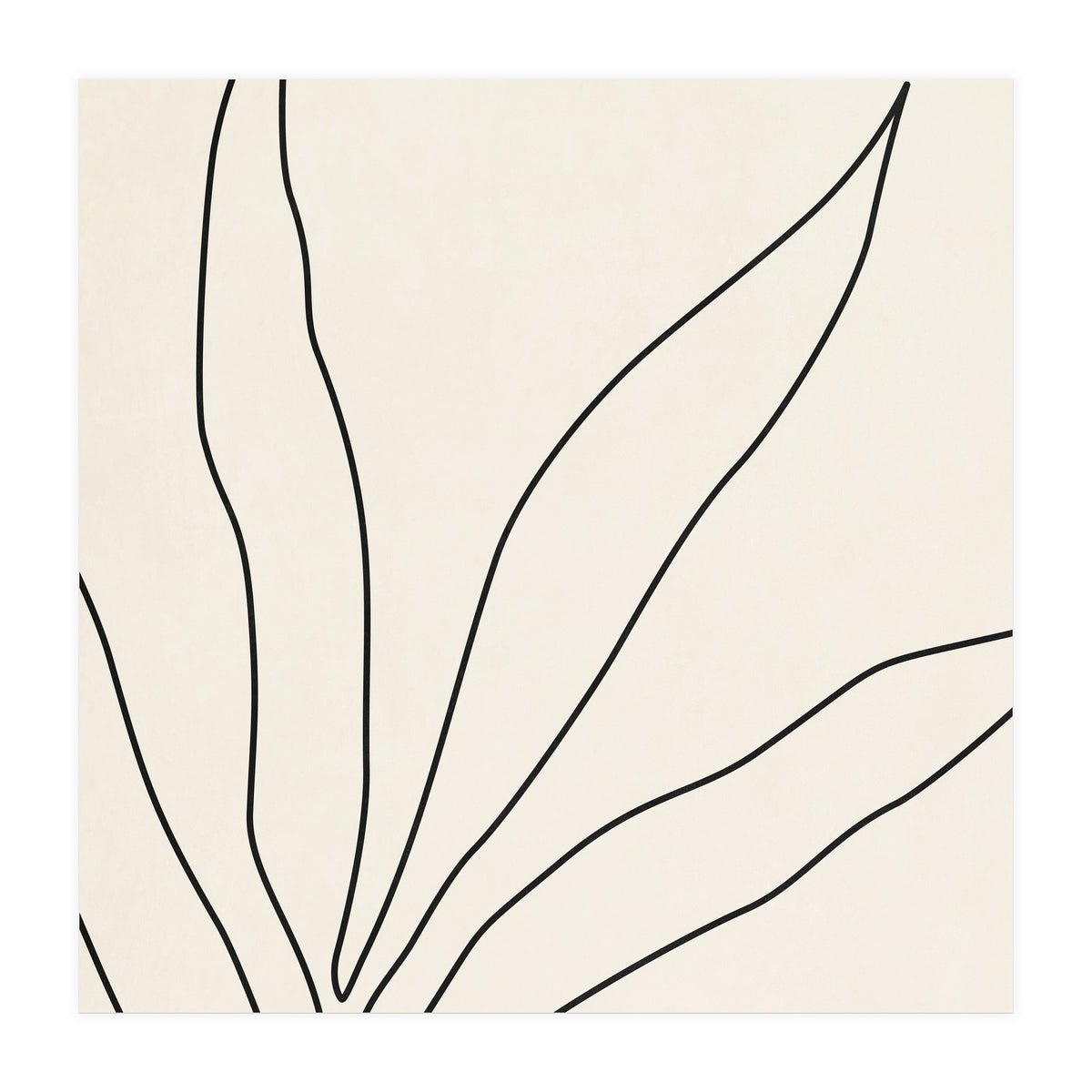 LEAF IN LINE 02 (Print Only)