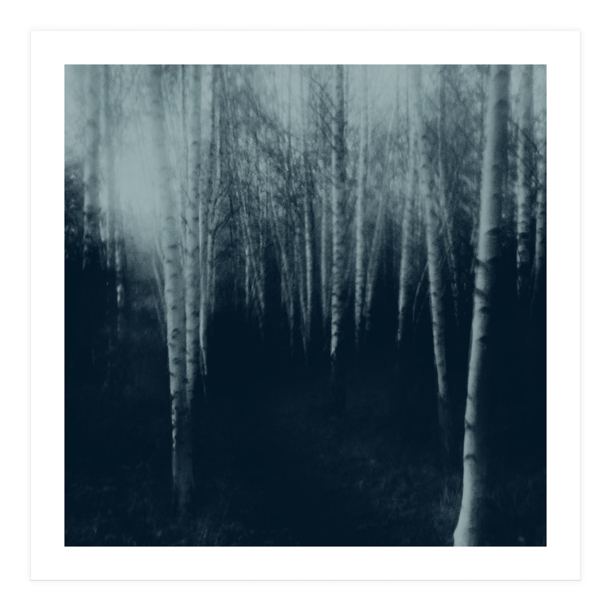 deep veins III (Print Only)