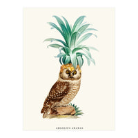 Pineapple Owl Vintage (Print Only)