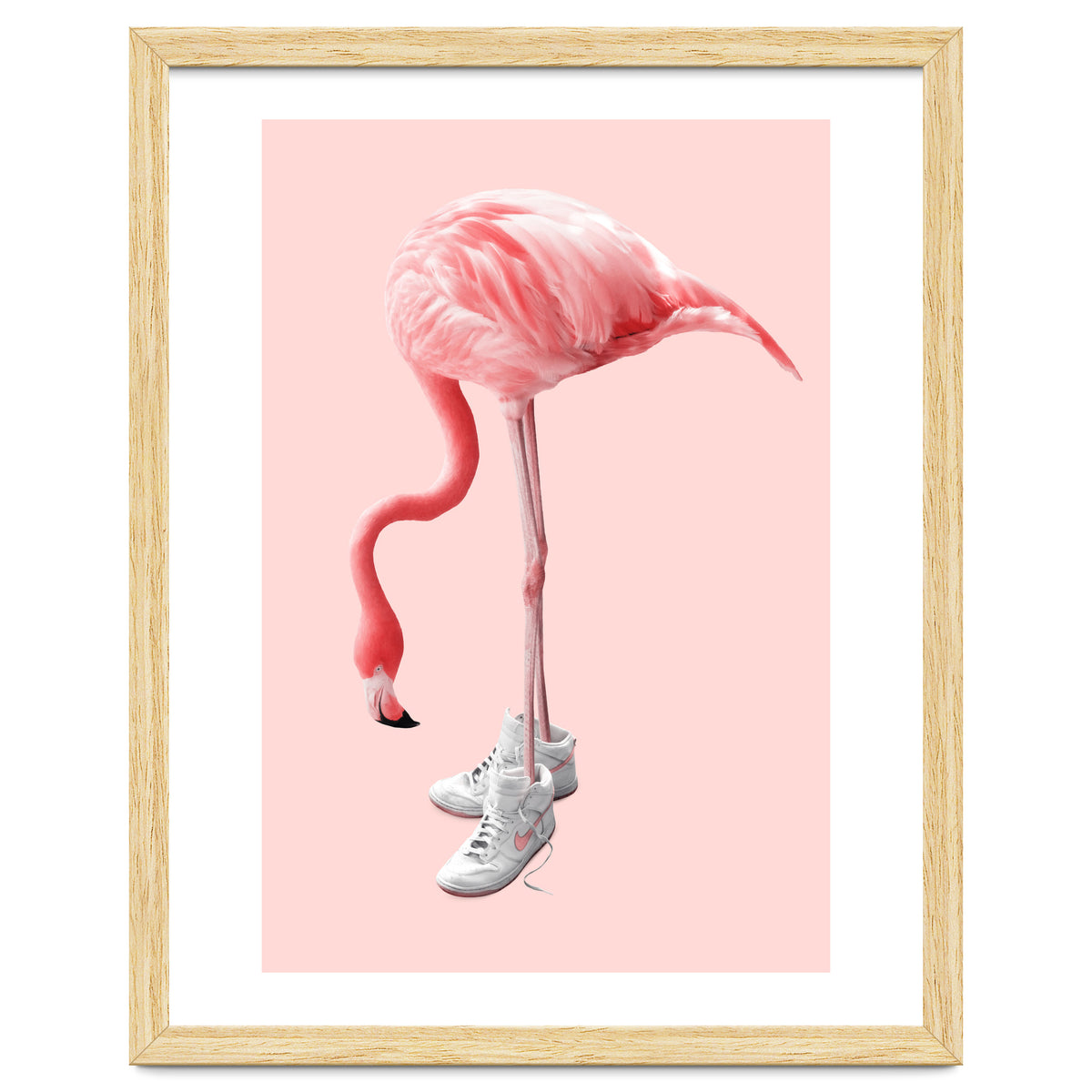 Sneaker Flamingo