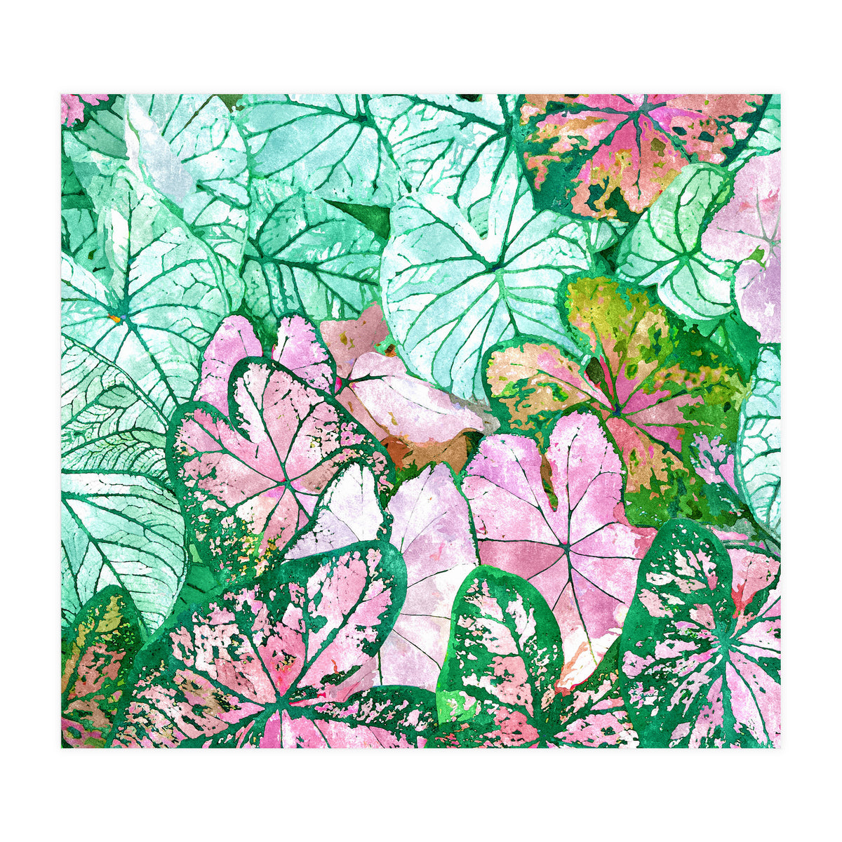 Rain & Nature (Print Only)