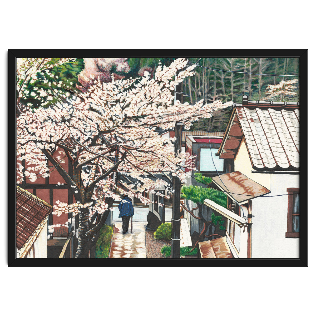 Passing by Cherry Blossoms