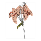 Lily (Print Only) thumbnail
