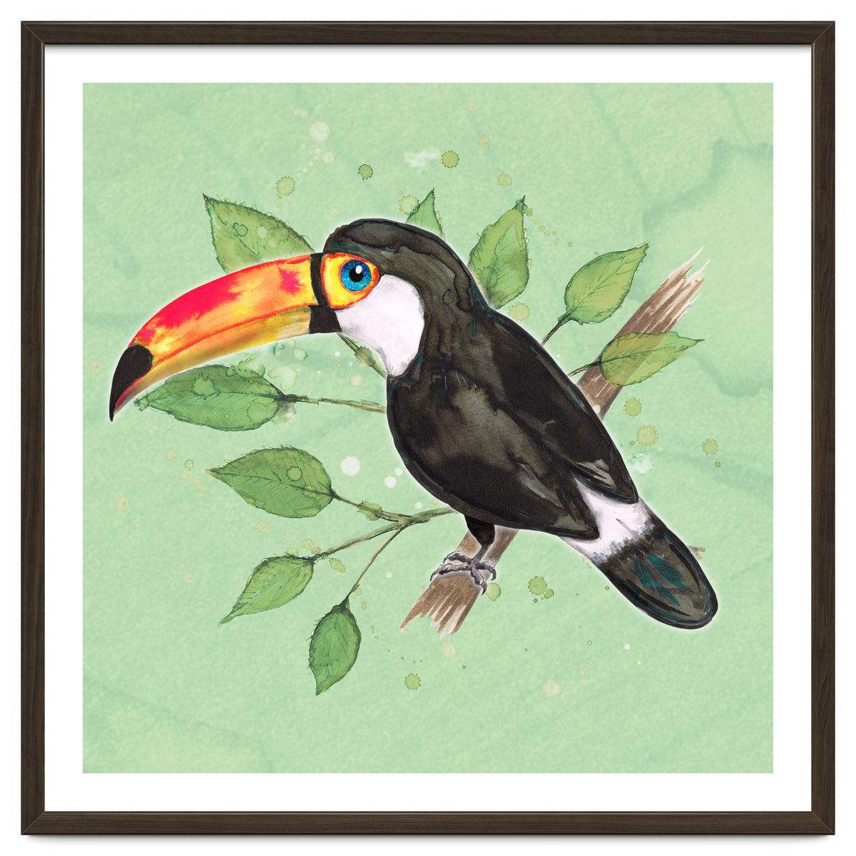 Toco toucan