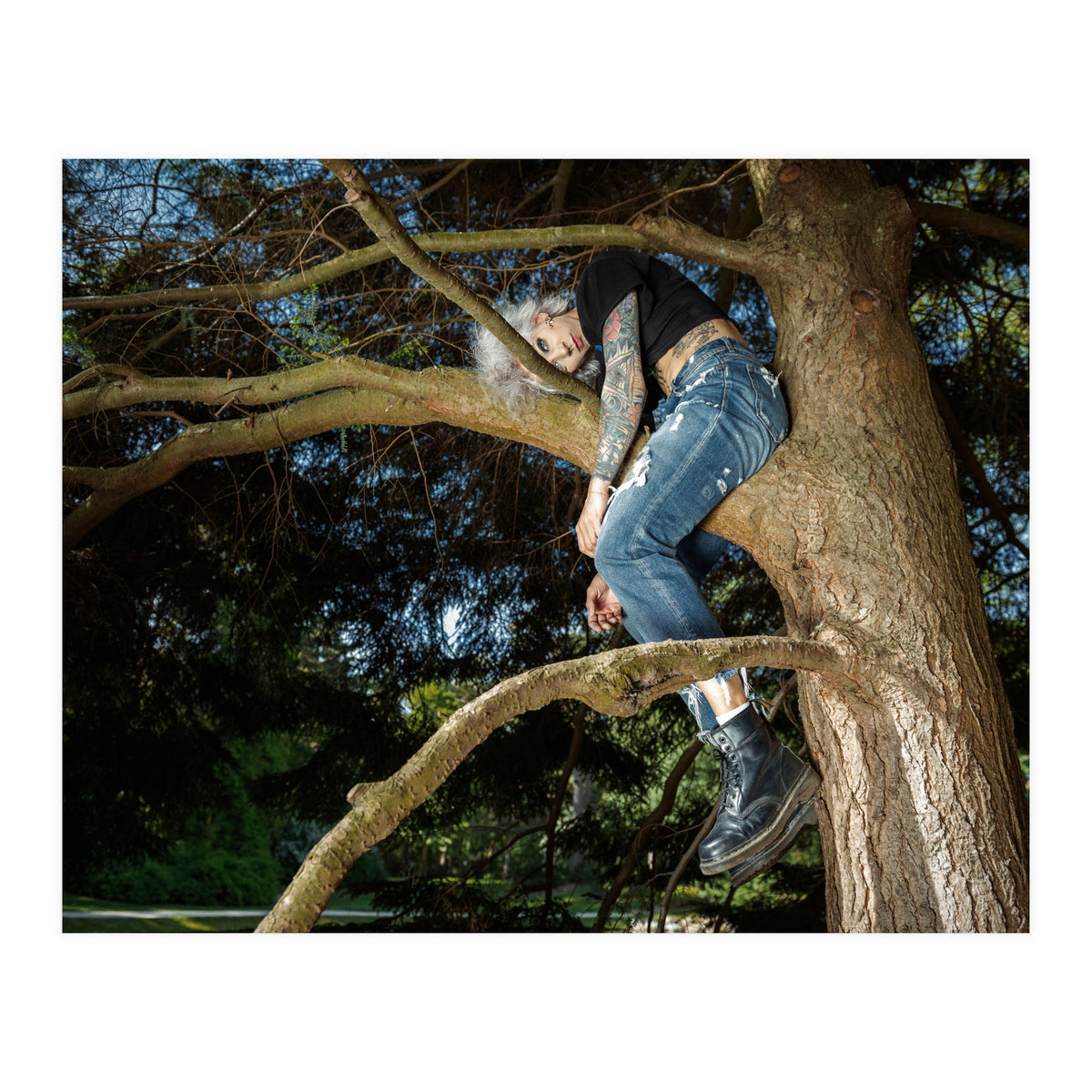 Tree Climber (Print Only)