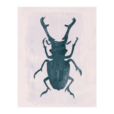 Beetle 3 (Print Only) thumbnail