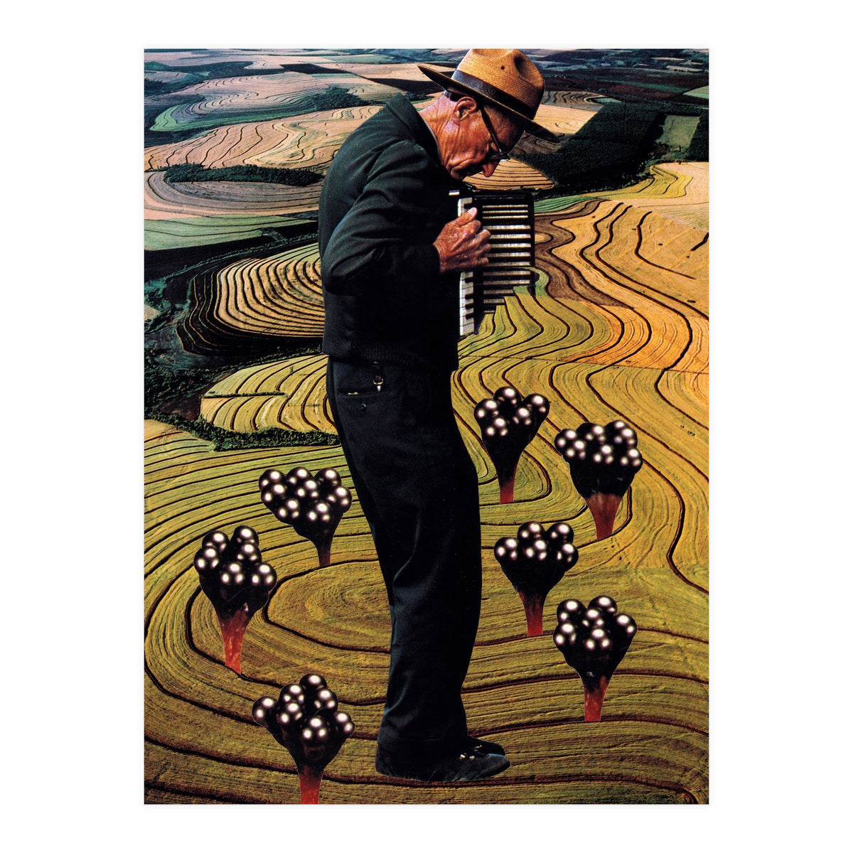 Accordion (Print Only)