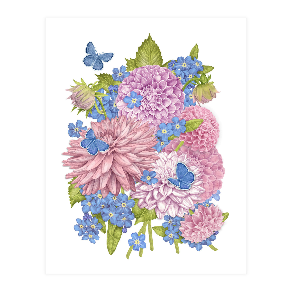 Pink Flowers and Butterflies (Print Only)