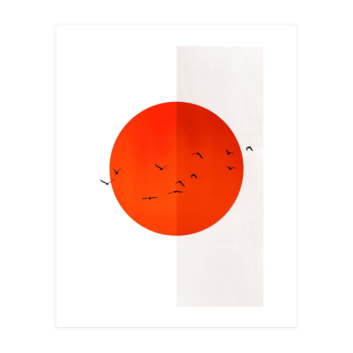 Seagulls Of The Sun (Print Only)