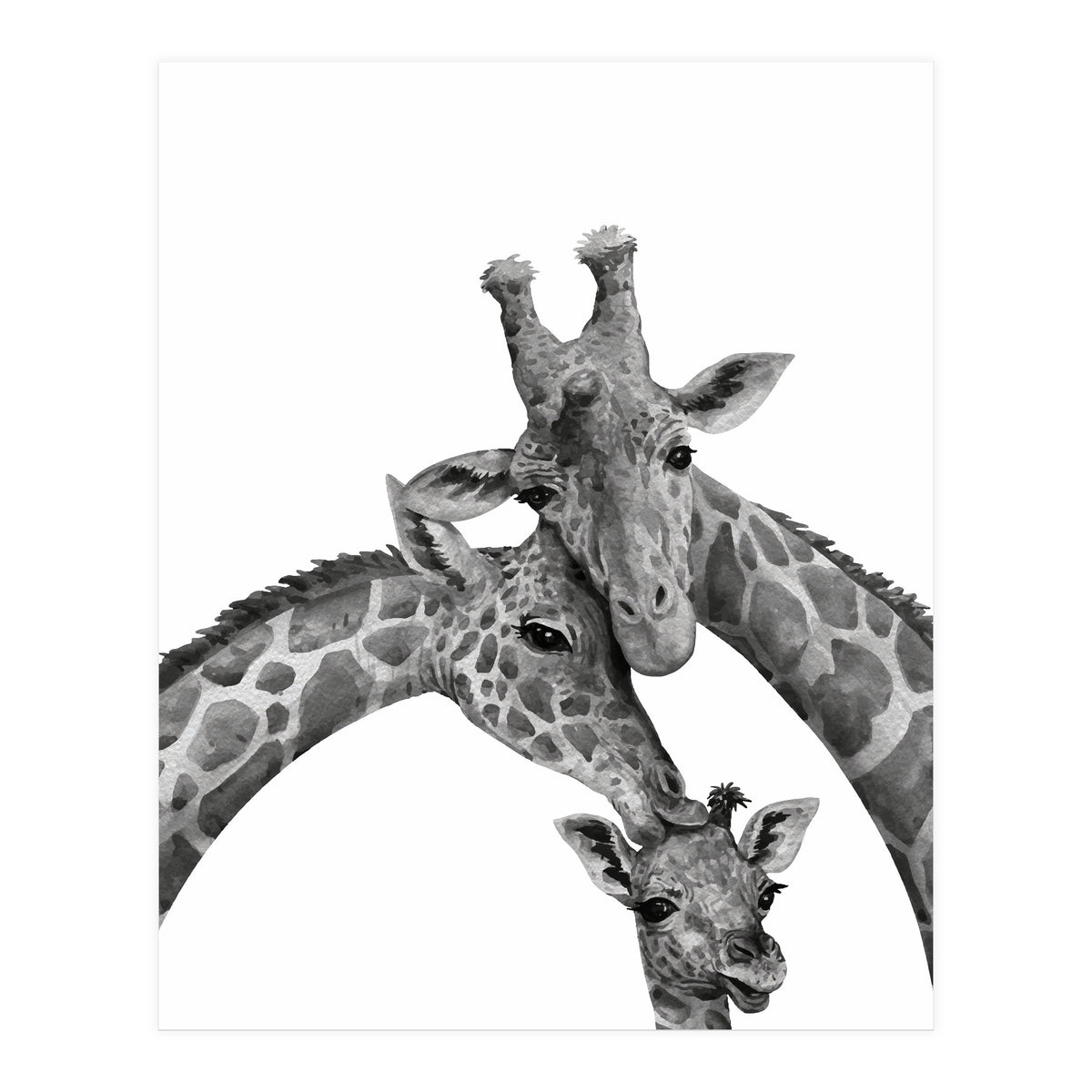 Giraffe Family (Print Only)
