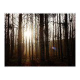 D3 A0 Cf3 E 6509 400 C 926 D 905230 D93 F61 (Print Only) thumbnail
