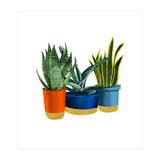 Little Garden (Print Only) thumbnail