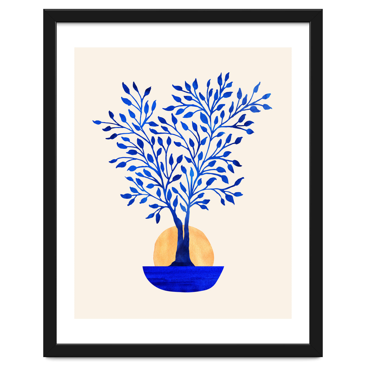 Indigo Ficus Sunrise