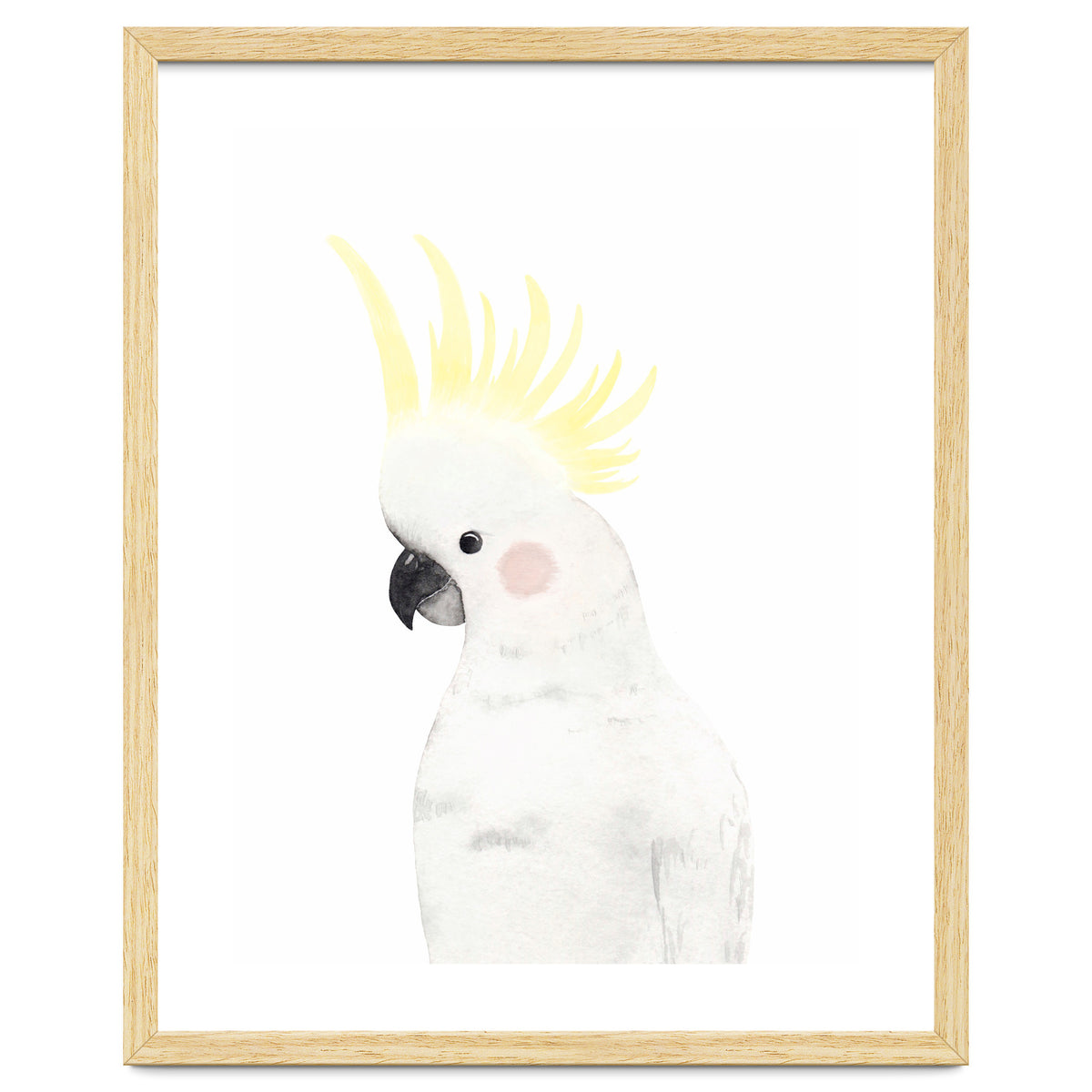Sweet Cockatoo
