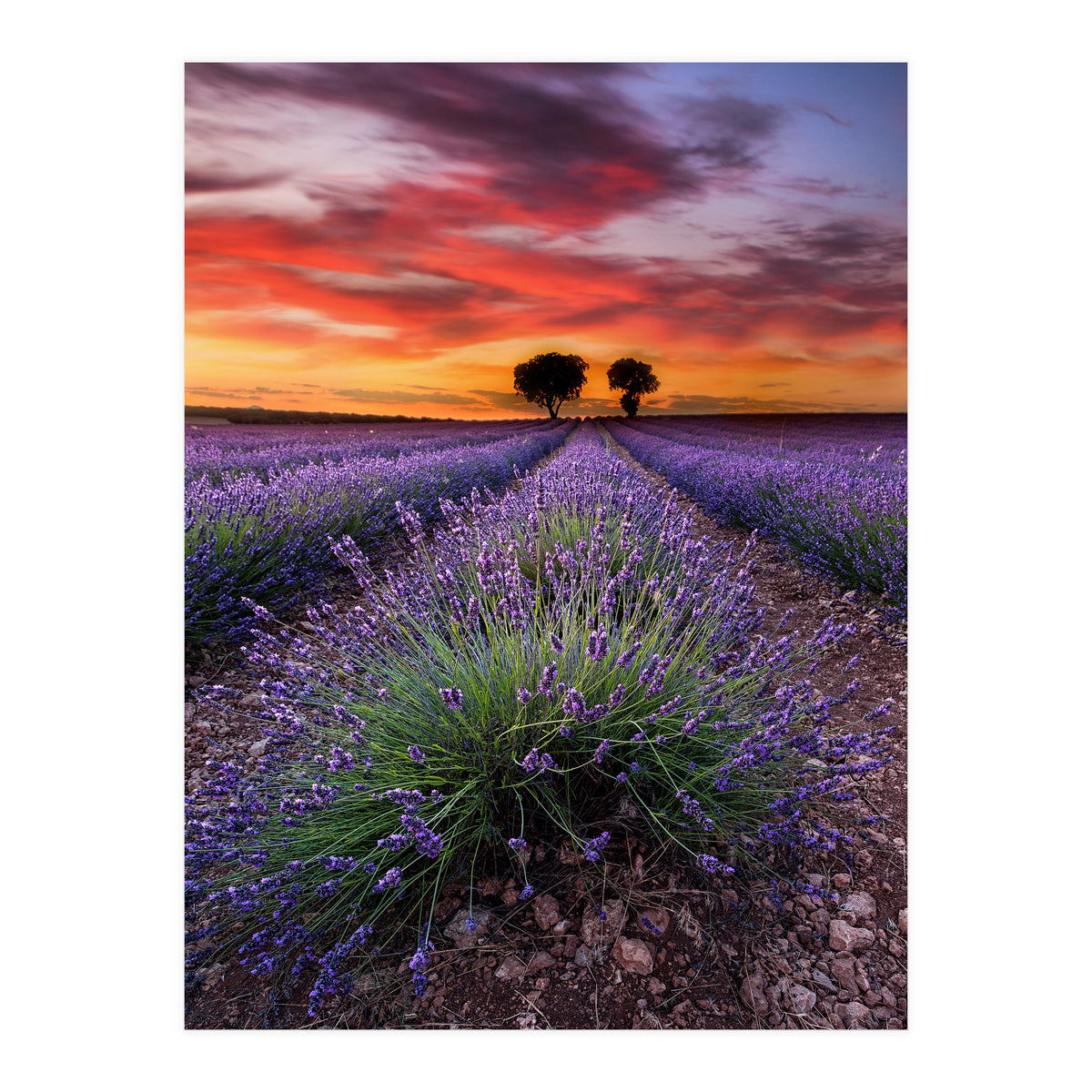 A Place To Dream (Print Only)