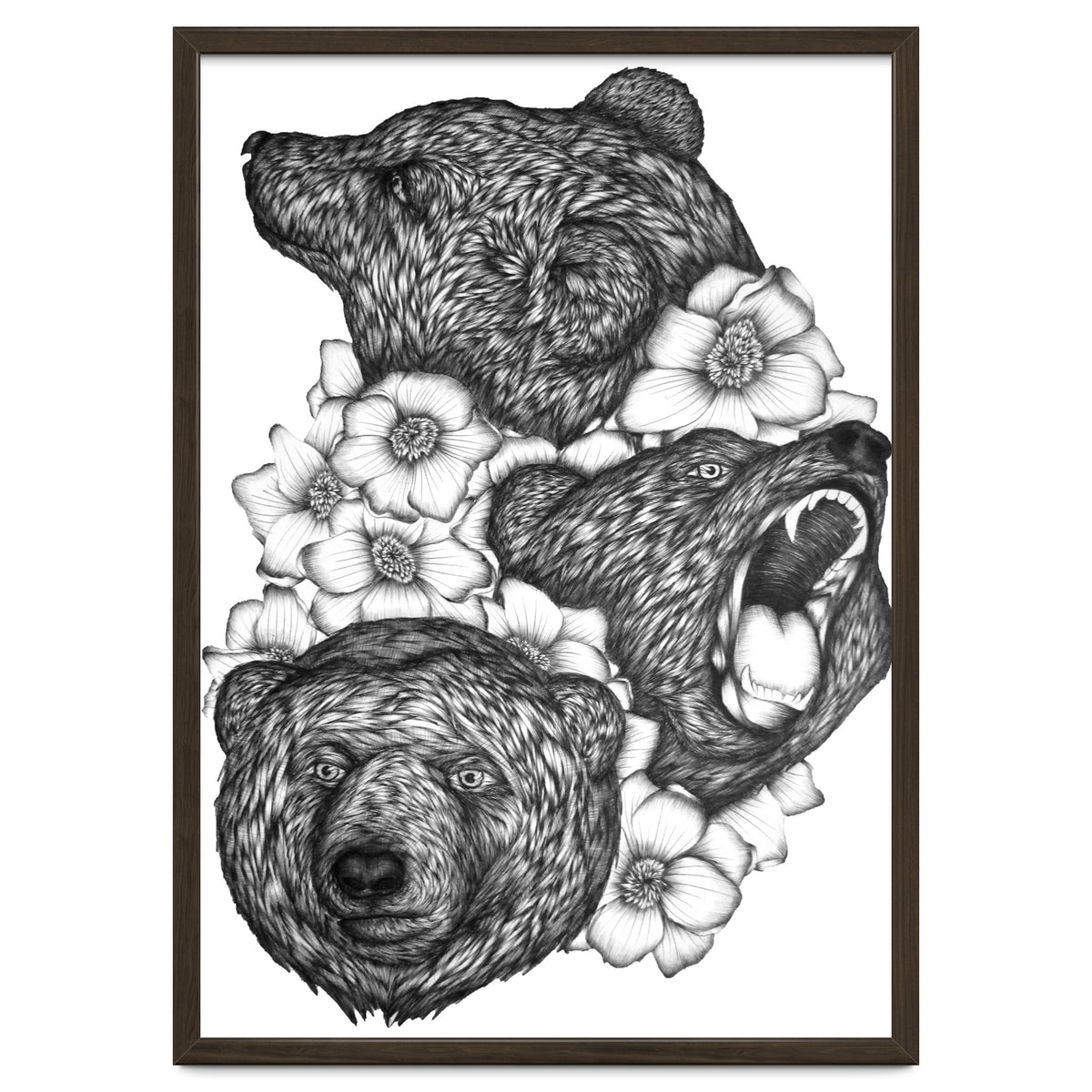 Bears In Bears