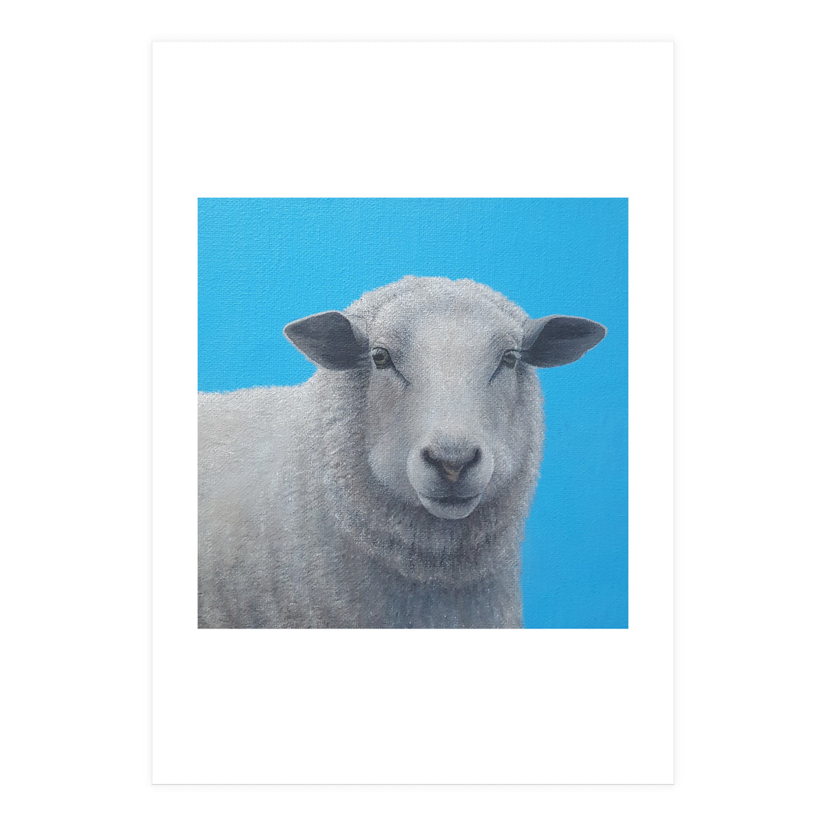 Sheep (Print Only)