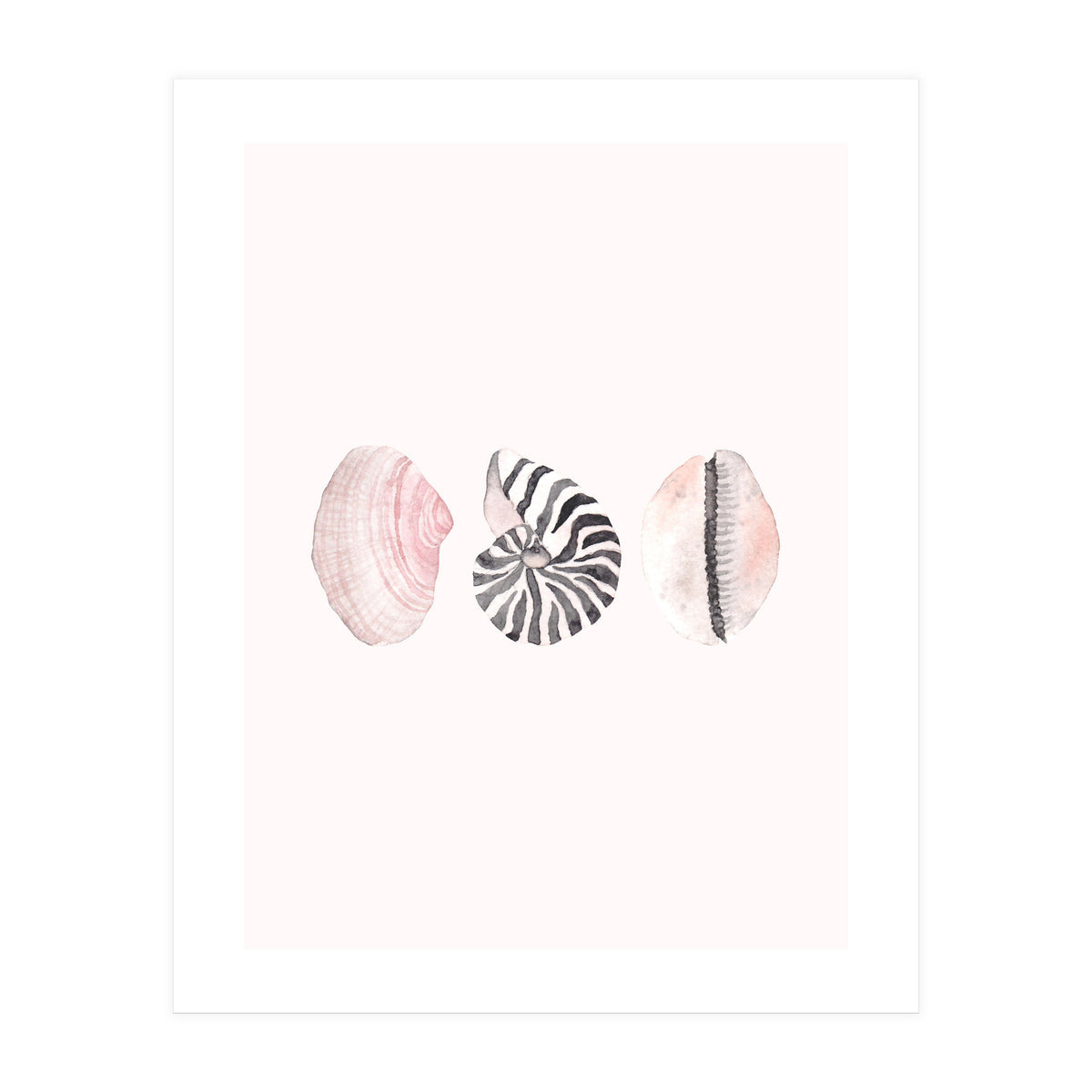 Seashells (Print Only)