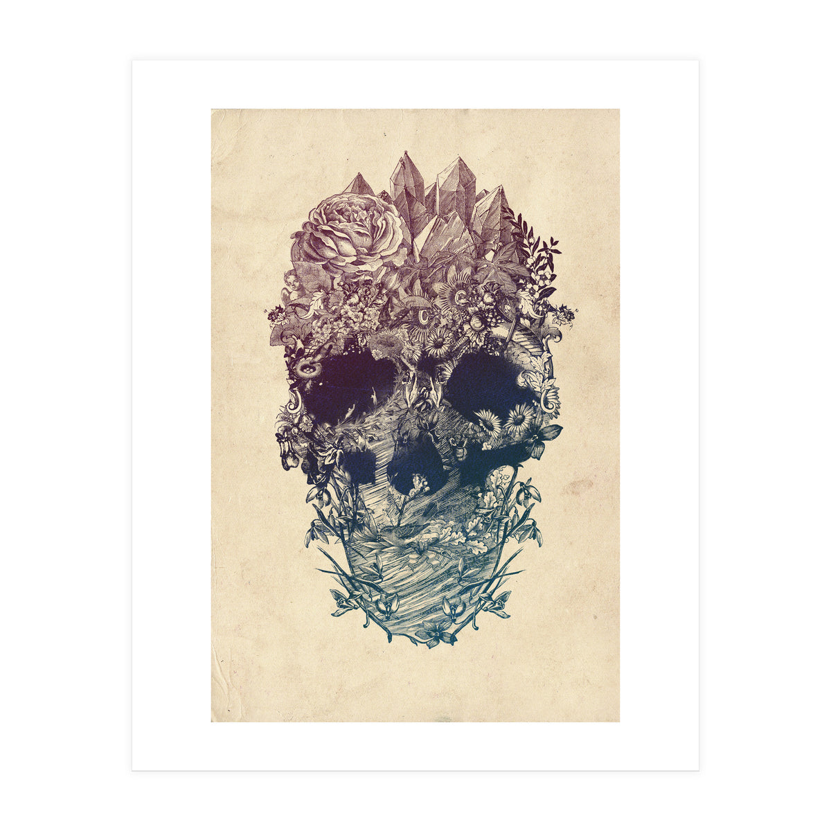 Skull Floral  (Print Only)
