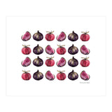 Apple & Figs (Print Only) thumbnail