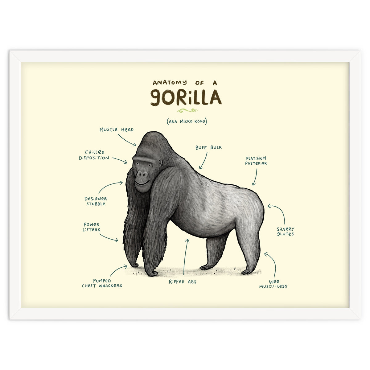 Anatomy of a Gorilla