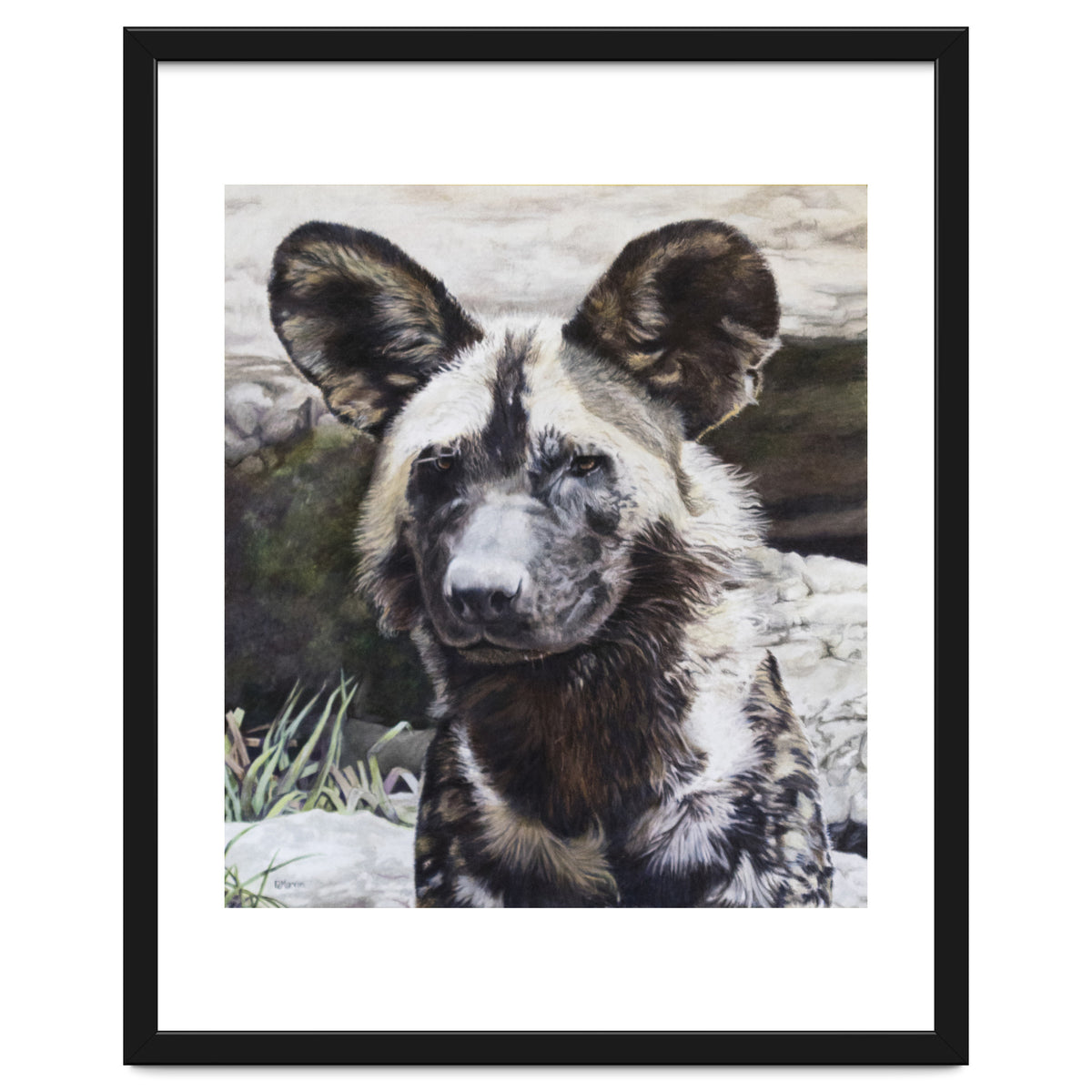 African Painted Dog II